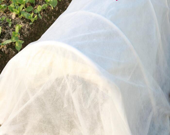 水稻無紡布產品細節圖
