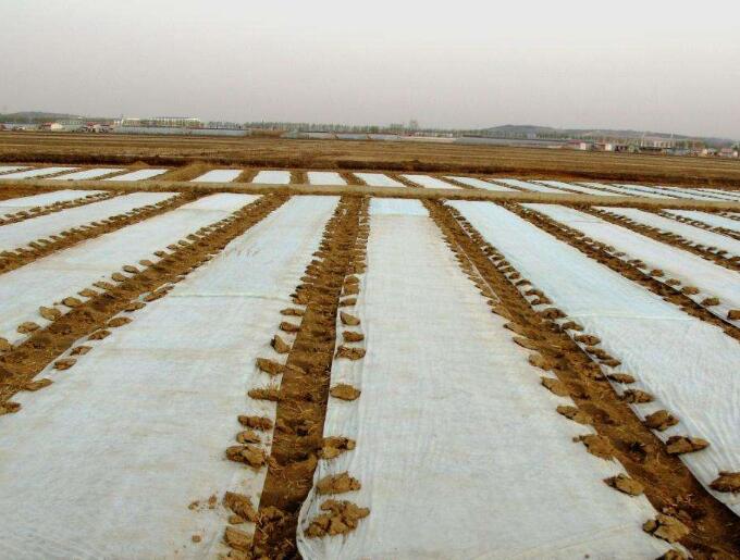 水稻無(wú)紡布